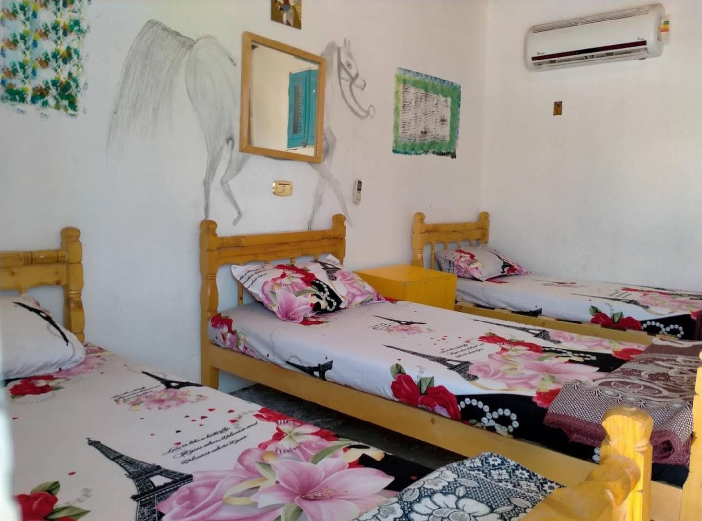 فندق Acacia Camp نويبع المظهر الخارجي الصورة