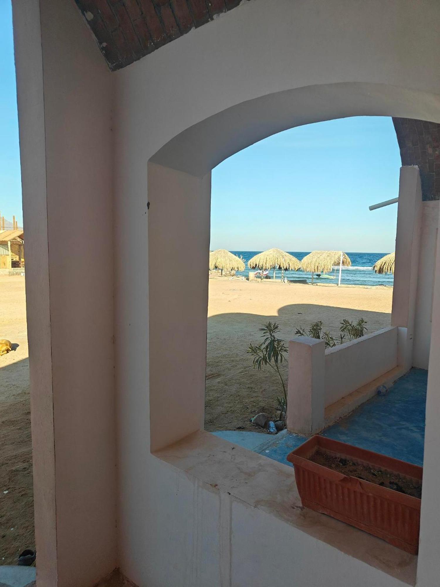 فندق Acacia Camp نويبع المظهر الخارجي الصورة